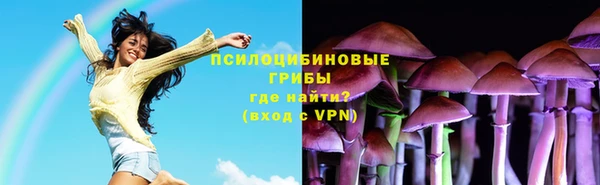 PSILOCYBIN Куйбышев