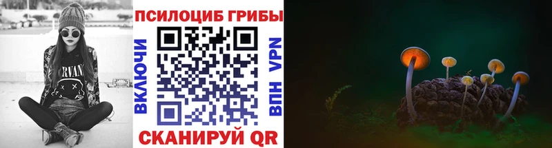 сколько стоит  Фатеж  Псилоцибиновые грибы прущие грибы 